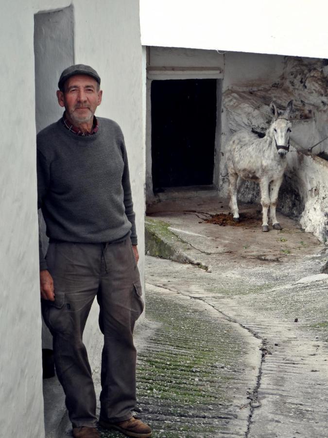 Casa Pepe La Rosa Atico Lägenhet Tolox Exteriör bild